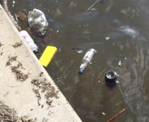 Plastic bottles litter the Lake.