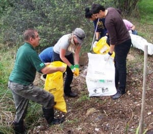 Clean Up volunteers hard at work on the shores of Lake Tuggeranong