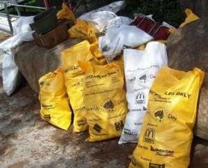 Just some of the rubbish collected by our volunteers