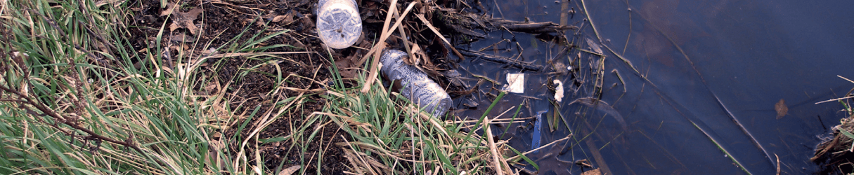 Clean-Up Lake Tuggeranong Sunday 14th November. Please Come and Help