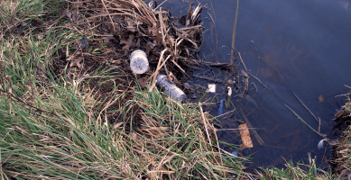Clean-Up Lake Tuggeranong Sunday 14th November. Please Come and Help