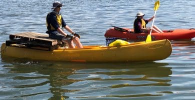 Lake Tuggeranong Clean-up –Sunday the 5th March 2023