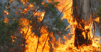 Fire Season Briefing